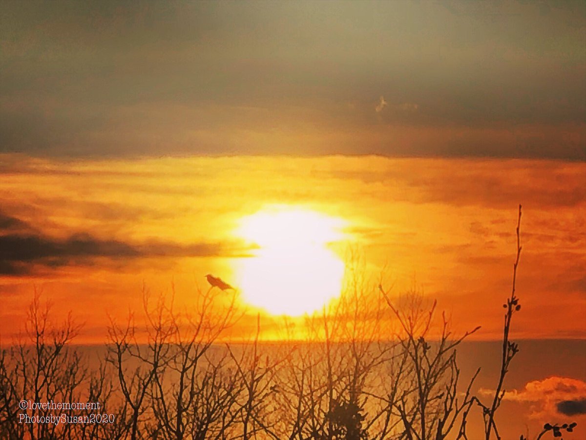 Suz0223's tweet photo. April 15/2020 Sunset. #lovethemomentphotosbysusan https://t.co/QrtyAEHIB3
