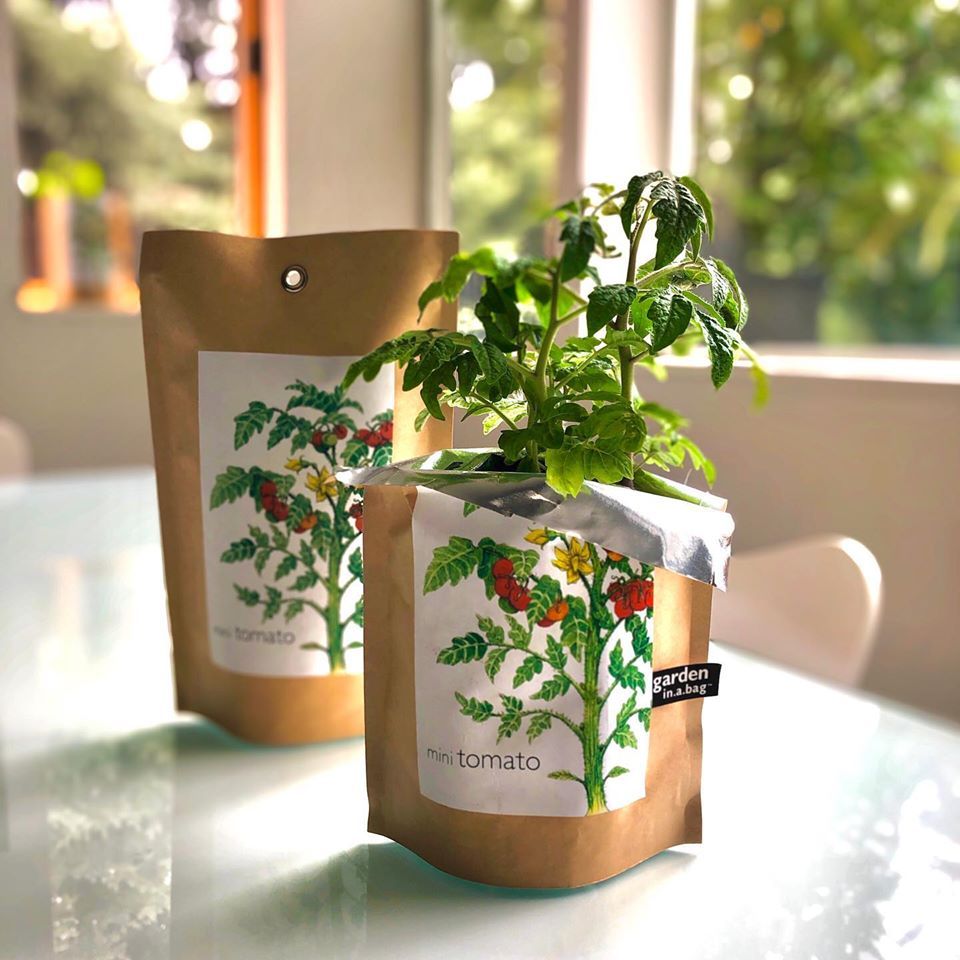 helloabound's tweet photo. Potting Shed Creations believes that people build better products than machines. Their 'garden in a bag' products are a full grow kit in a leak proof bag that allow you to start your plants indoors where they'll be safe from the elements. 
https://t.co/J752TqgMKa https://t.co/DyuxmepDmk