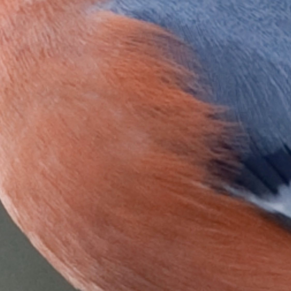 johnstonandjeff tweet media