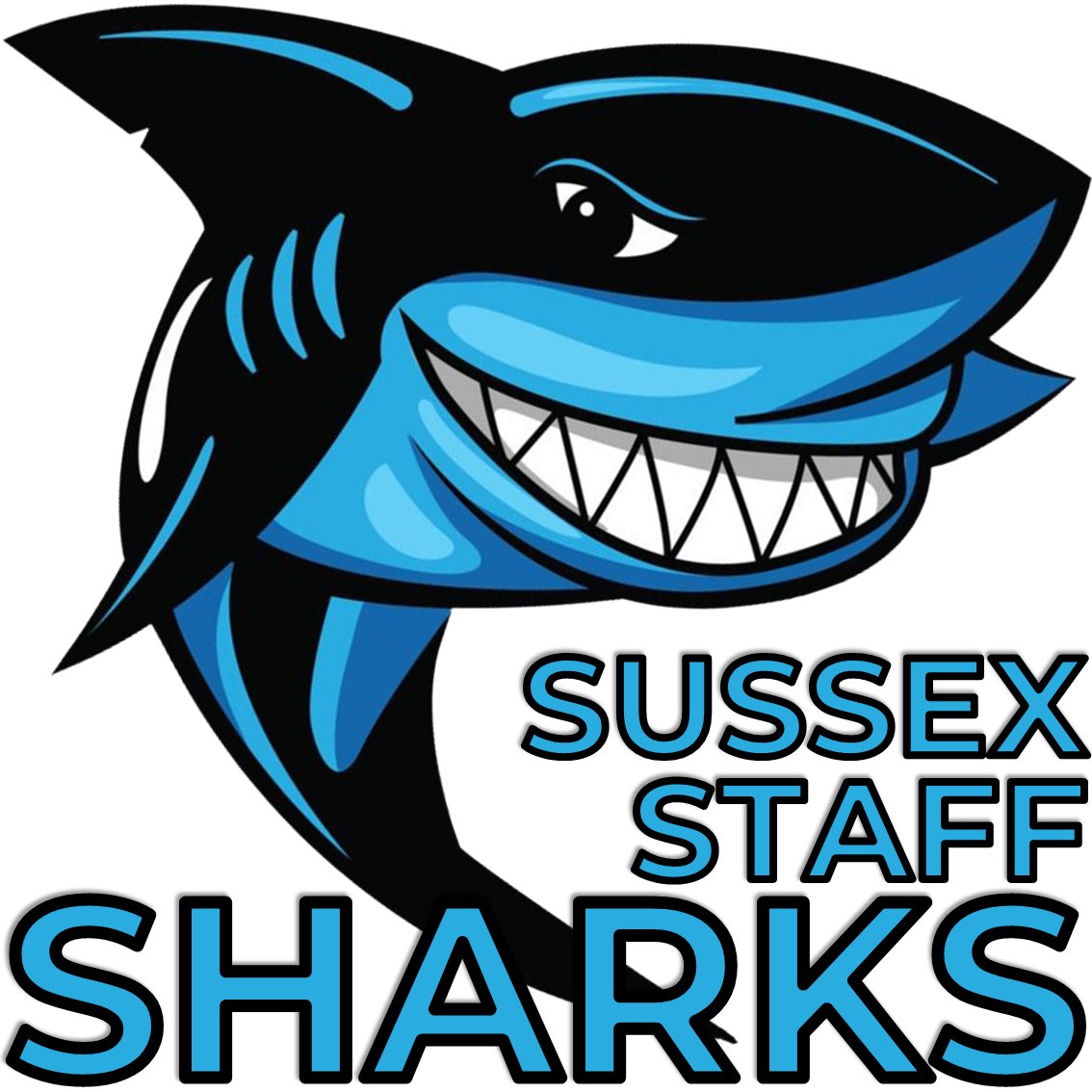 SussexSlam's tweet photo. RESULT

@staffsharks overcome @TheMightyGreys comfortably and take their place in the Central Region semi finals where they’ll take on either @DomeMission or @RottingdeanCC https://t.co/bOeNmFZ5fJ