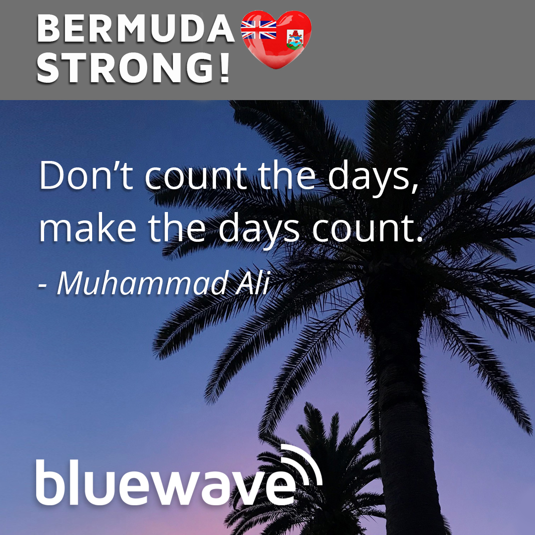 Bluewave tweet media
