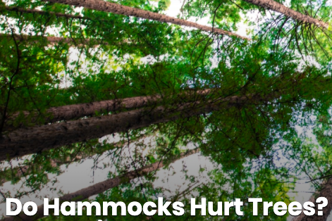 Top_HamMocks tweet picture