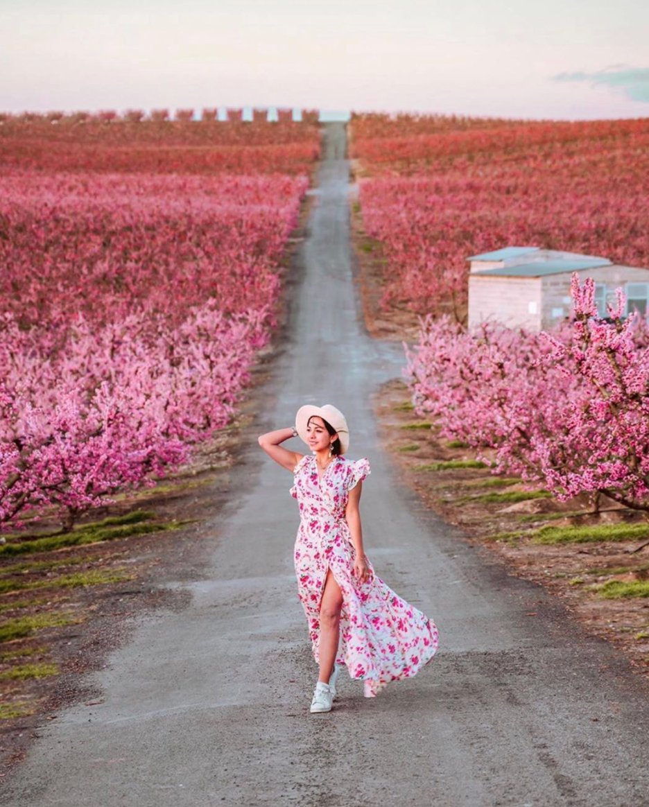 Today we're featuring our #remotewoman of the day: @dwanderess
Location: #Aitona, #Spain