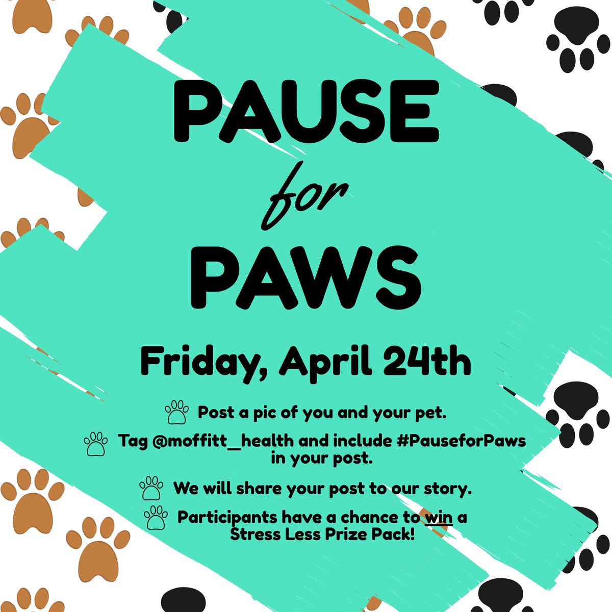 USMhealth's tweet photo. We want to see your quarantine companions! Since we can't do a puppy day for stress less this semester, we want to encourage you to take a virtual #PauseforPaws with us, and take a short break to relax and step away from your stress! 🐱🐇🐹🐶 #StessLess #Healthy https://t.co/6ni1cYULK2