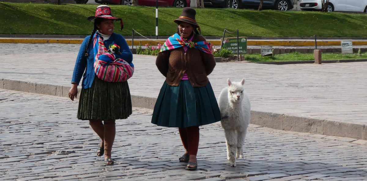 cooper_kerry's tweet photo. #virtualPeru Day 6 was a sorting day back in Cusco. The sightseeing tourist stuff was done; there was food to buy & equipment to sort for the mountains. There was a carnival of some kind and a lot more photos to be taken! Nobody wants to see packing when there's llamas in town? https://t.co/CxM1GlsIOp