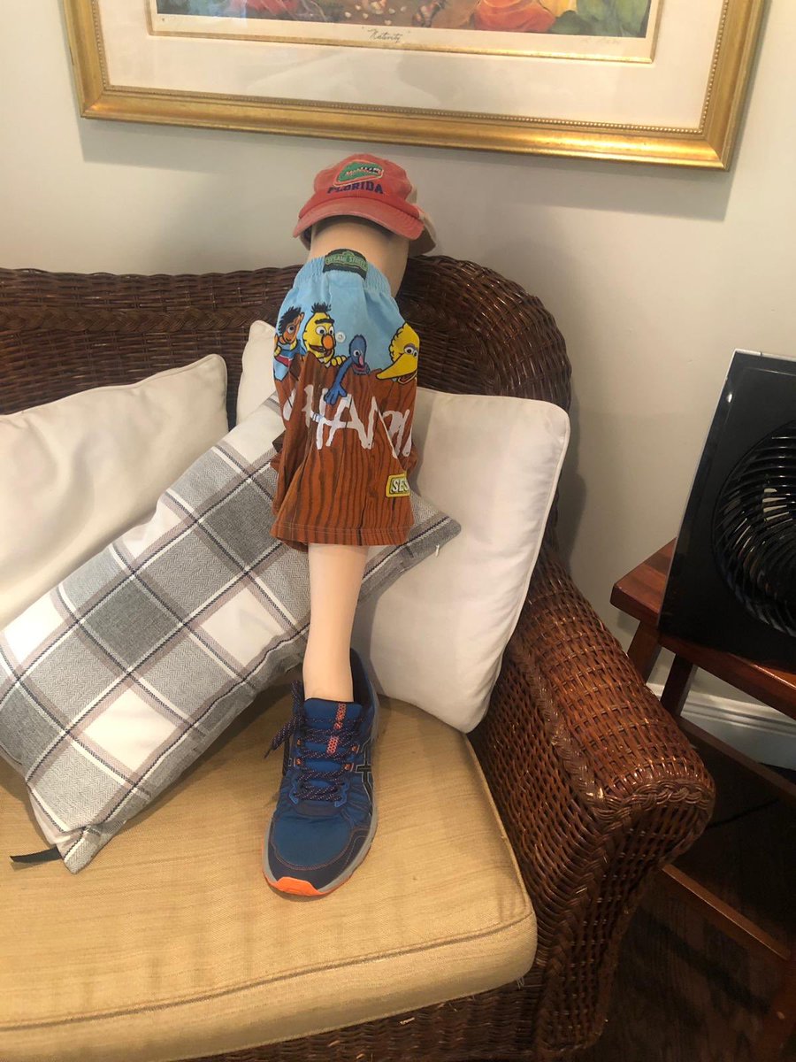 StephhSmithh's tweet photo. Here is an update on Susanne in case anyone was wondering. We have avocado Susanne, UCF Susanne, Miami Susanne, and I’m not sure what Susanne. Stay tuned for more 🦵🏼 https://t.co/JLzAAbWqao
