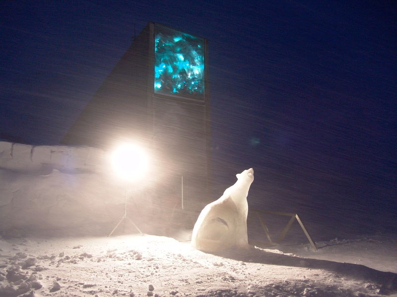 karla_lu23's tweet photo. The seed vault in Norway holds the largest collection of food crop biodiversity in the world. It serves as a resource for the future just in case a disaster happens and crops are wiped out. This is one of the most interesting things I have seen in this course. #seedvault #ees028 https://t.co/v0YS5bEXR0