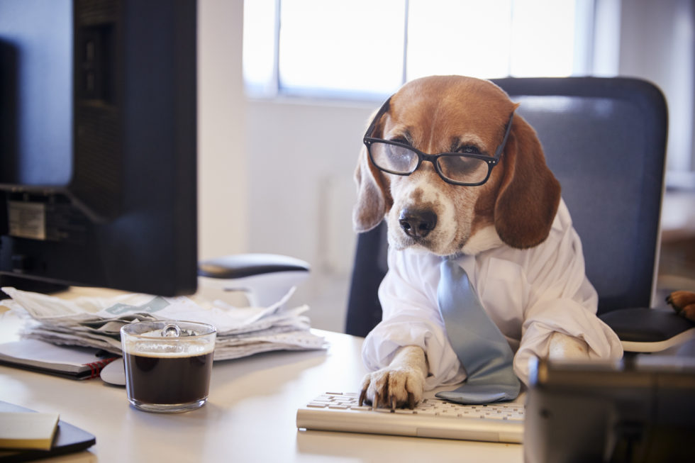 Carve Systems tweet media