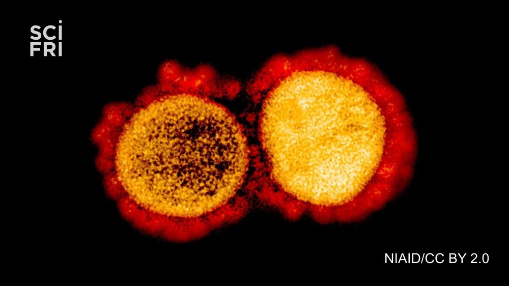Science Friday tweet media