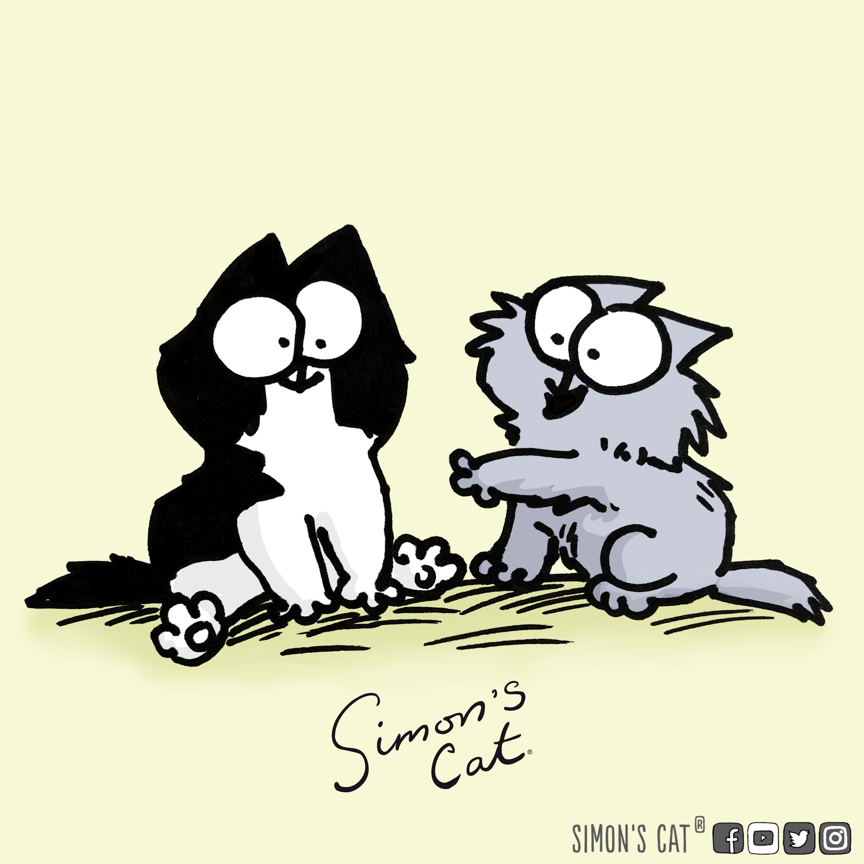 Simon's Cat : Photo  Simons cat, Cats and kittens, Cats