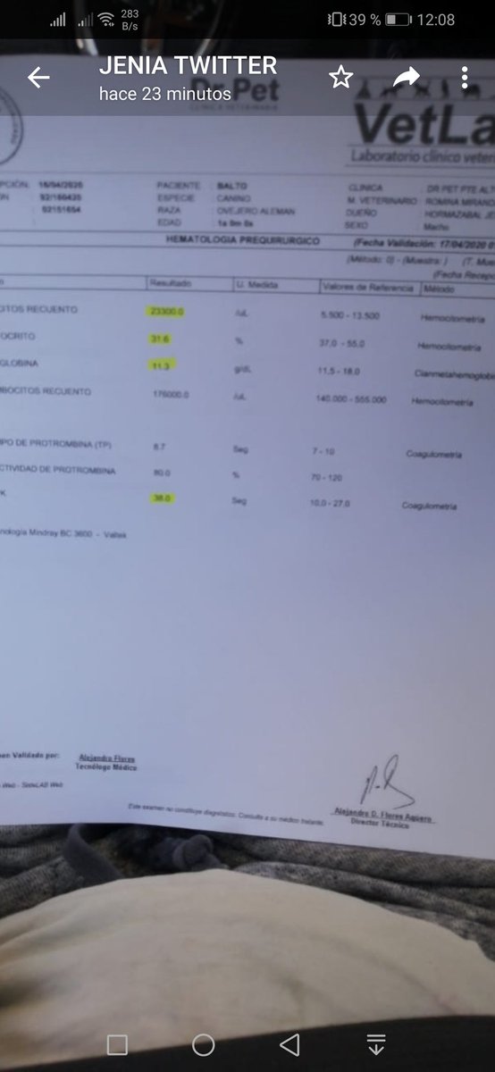 loreto1110's tweet photo. @jenianino me acaba de pedir que les mande esta foto de #baltito y examanes.Resultados Intoxicado, lo enveneraron.Ahira debe pagar $64.000 de baltiti no puede pagar, no tiene ni un peso.esti es terrible, ahira con #Rocky @BERTORETO @TonkaTP @ccatalan77 @valeib_a @XimenaAG70 https://t.co/Ky9Fwqk7w2