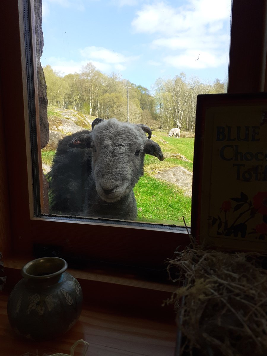 Sights you see when you're working from home. <a href="/LearningFields/">Learning Fields</a> <a href="/FriendsofLakes/">Friends of the Lake District</a>