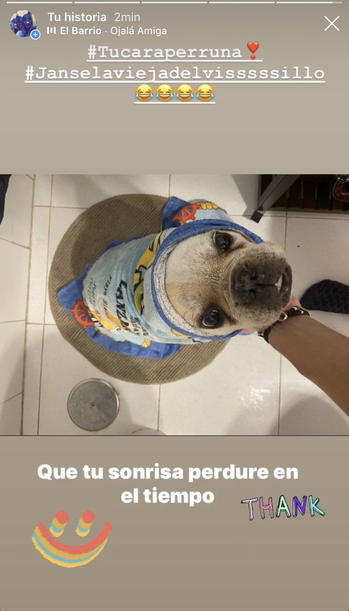 jeanet113's tweet image. Bath🧴🧽#irenemontero #janse❣️🐶