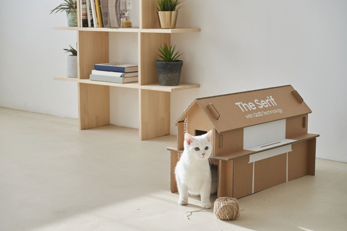 verge's tweet photo. Samsung’s new TV packaging can be recycled to make a cat house https://t.co/oDmPJivJku https://t.co/zFcukb9DzB
