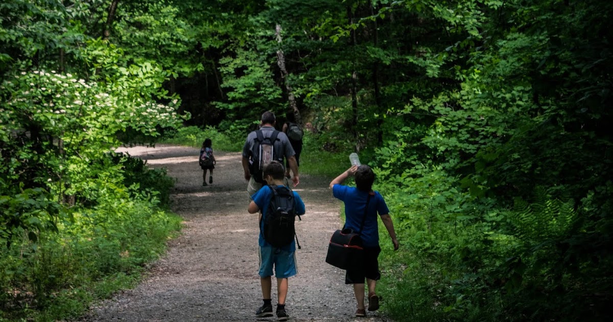 healthvermont's tweet photo. Planning a hike this weekend? Remember it's Vermont’s MUD SEASON &amp; trails are vulnerable. Please respect trail closures &amp; turn around when you see muddy conditions. Crews can't repair trails per @GovPhilScott's  #stayhomestaysafe order https://t.co/sS14pO33mt #VT #getoutsidevt https://t.co/eZ5WEG3Dup