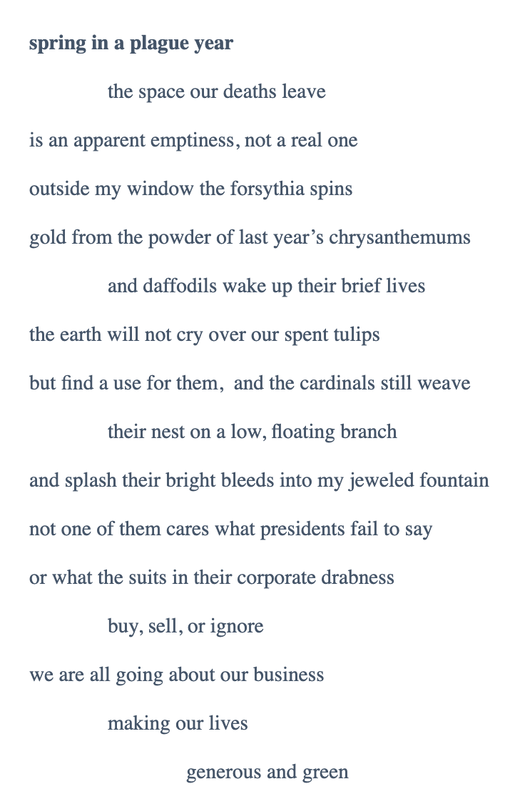 RuminateMag's tweet photo. #thankyou to poet Judith Johnson who is allowing us to #share "spring in a plague year" which she says is her poem for the #currentworld. https://t.co/WJa8XF8mT7