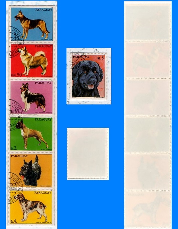 barbierjeanf's tweet photo. Bonjour,
Chiens de race, timbres oblitérés vintage, décoration, montage photo unique par JFB
https://t.co/xwchomVWOj
#objetvintage #artdigital #Paraguay1986 #objetsdecollection #décorationmurale #faitmain #sériecomplète #impressionA4 #faune #animauxdecompagnie #berger #terrier https://t.co/S10dyNkI21