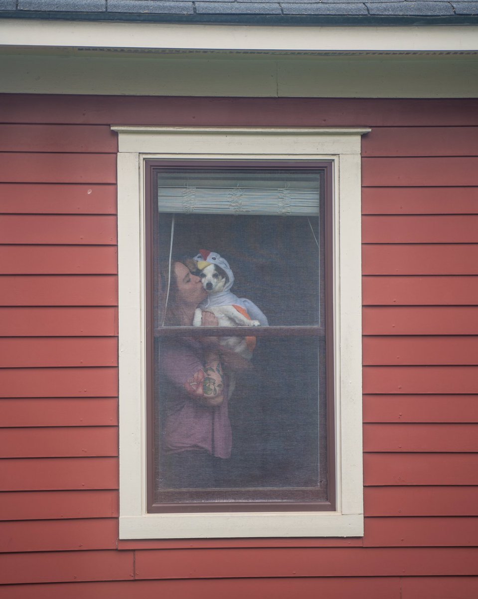 NEIGHBORS: DAY 6-Being strangers of each other, and first seeming like the weirdo photographer in the window, naturally the series began slow. Just showing up for an image. A portrait with their dog, Olive, a photo with sunglasses in to add some flare. Simple.