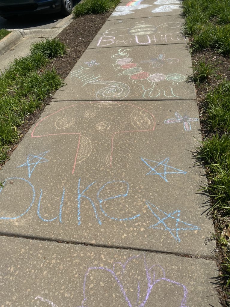 Cathy Del Buono tweet media