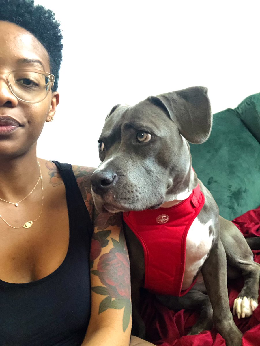 itsdianalynn's tweet photo. Her face was just too adorable not to share here
#pitmama #dogsoftwitter https://t.co/Twkf3iYafV