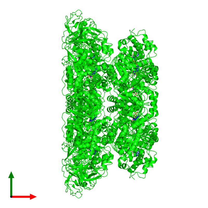 PDBimagebot's tweet photo. #HexamerOfTheWeek 'Cryo-EM structure of human p97 bound to ADP' published in @sciencemagazine. Find it at https://t.co/2sfpXemOzz https://t.co/5cF1sUviYN