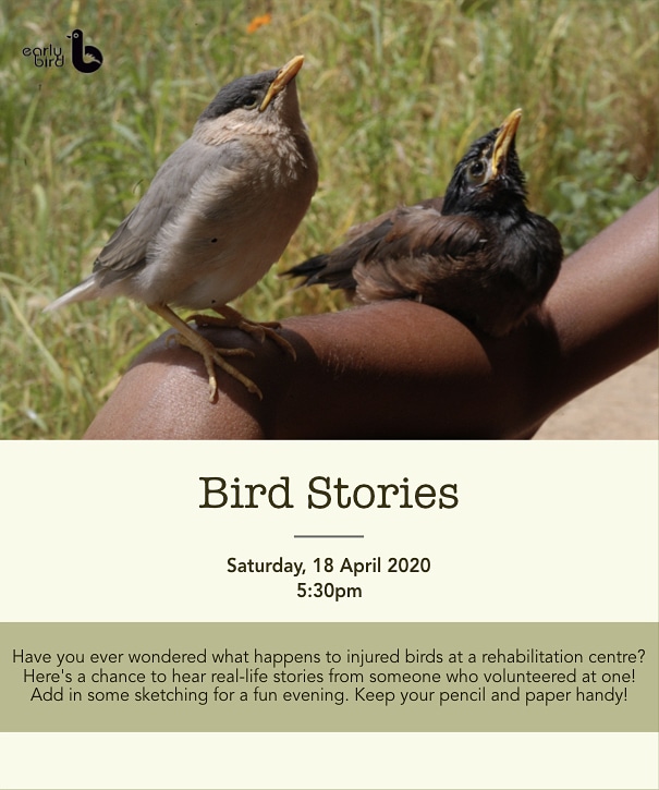 𝗕𝗶𝗿𝗱 𝗦𝘁𝗼𝗿𝗶𝗲𝘀
Listen to interesting stories about bird rehabilitation in our next session! We'll also do some bird sketching!
Saturday, 18 April 2020
5:30pm
Link:
zoom.us/j/97616522969
Suitable for kids!