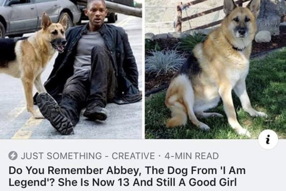 WholesomeMeme's tweet photo. https://t.co/c9my3VON8l