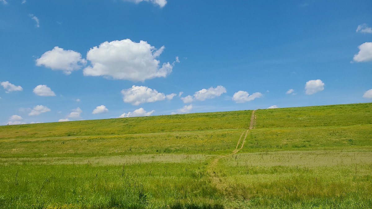 GoneNorthian's tweet photo. Yoo, this place I'm working out at looks like that one Windows wallpaper. I've joined the simulation https://t.co/x3Uh0daAz7