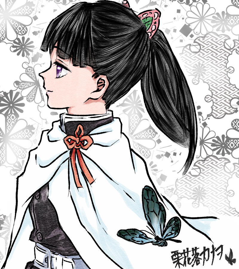 かめ カナヲいきて 栗花落カナヲ 鬼滅の刃イラスト 鬼滅の刃