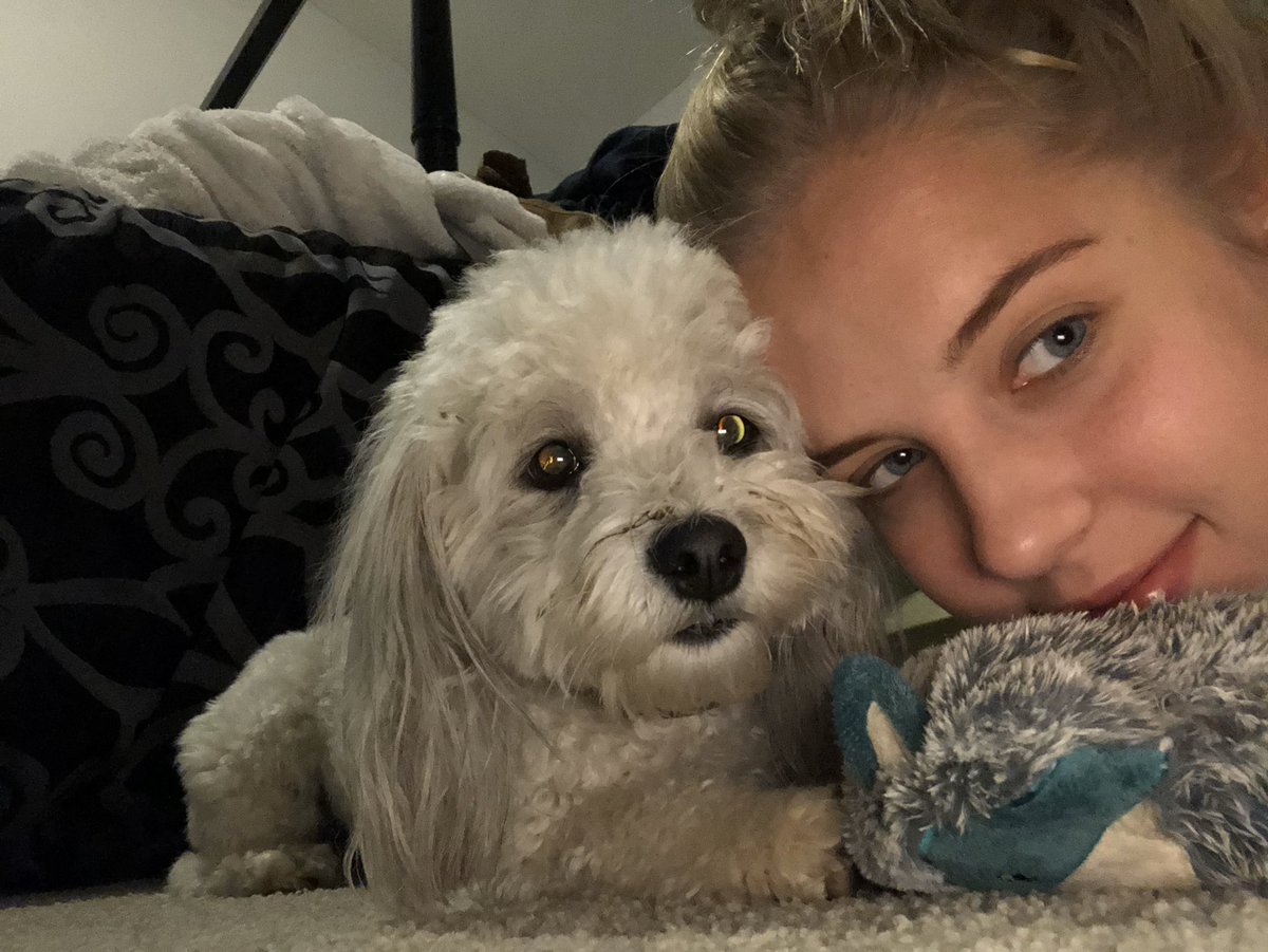 alex_taylor77's tweet photo. @NetflixFilm usa baby
buddy and chew chew bear https://t.co/Z4wIyQLzZF