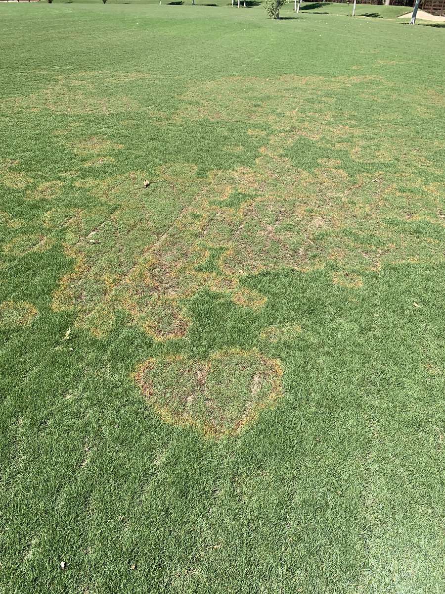 muddturf tweet media