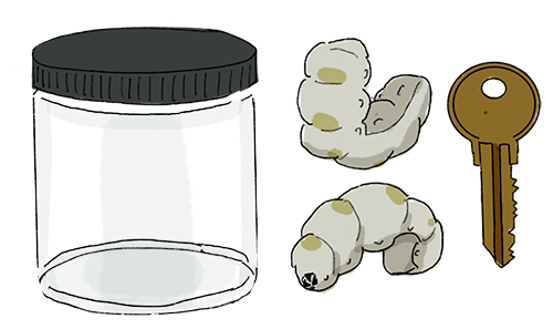 SquidsFour's tweet photo. What's in YOUR inventory? More concept doodles #horrorgame #inventory #IndieGameDev #gamedev #pointandclick #indiedev https://t.co/bU0kGxKD4x