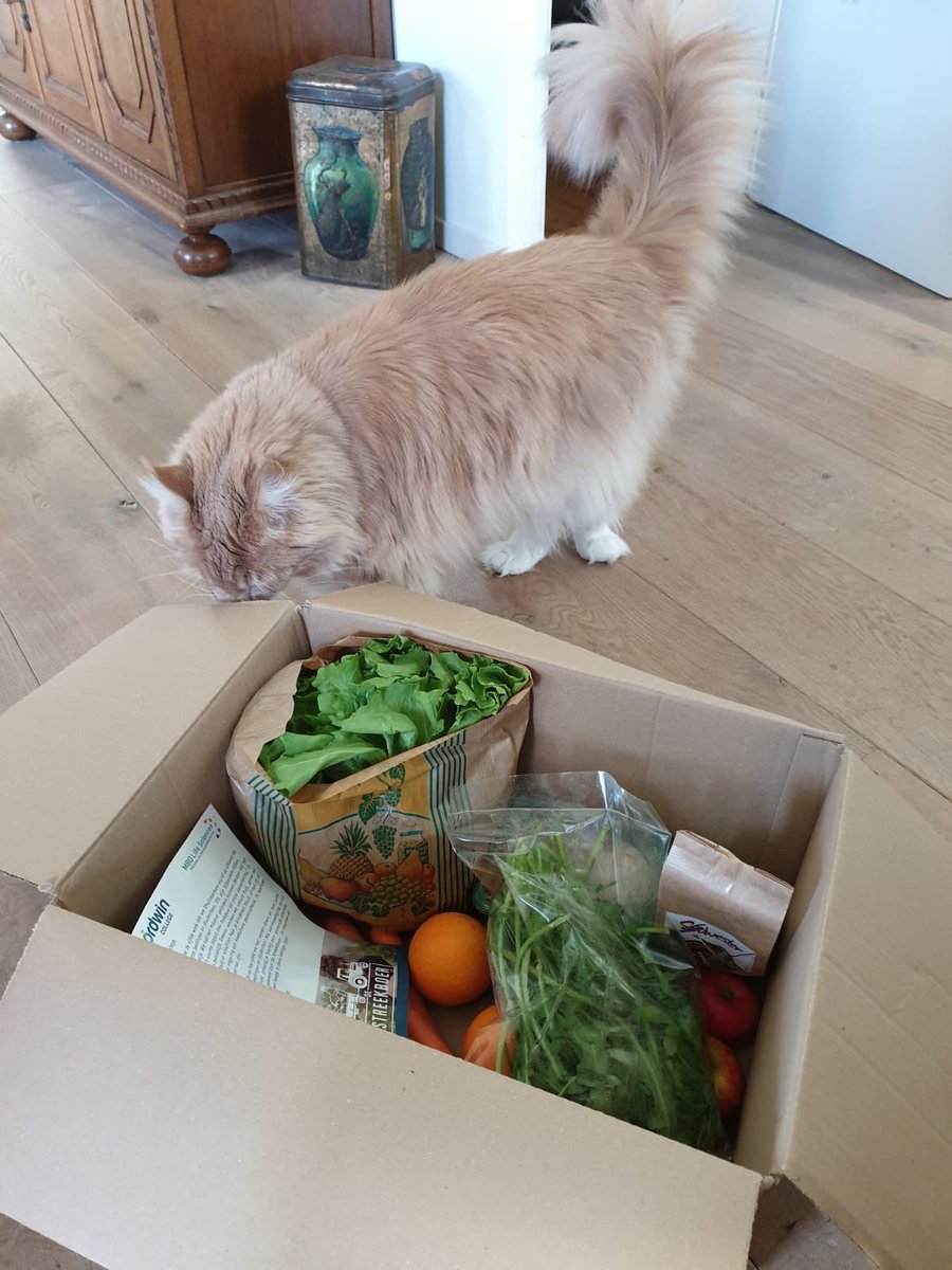 IlonaDulfer's tweet image. Lokale producten, in het groen vanzelfsprekend, voor al onze medewerkers als blijk van waardering voor hun inzet tijdens Corona @NordwinCollege