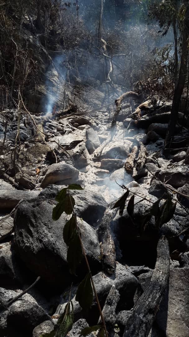 Bomberosforest6's tweet photo. @JULIOLEONYARA Bomberos forestales inparques cuerpo de guardaparques GNB comunidad quibayo ,asociaciones espiritistas unidos en el combate del incendio en el cerro marialionza https://t.co/XYl9IsgdB8