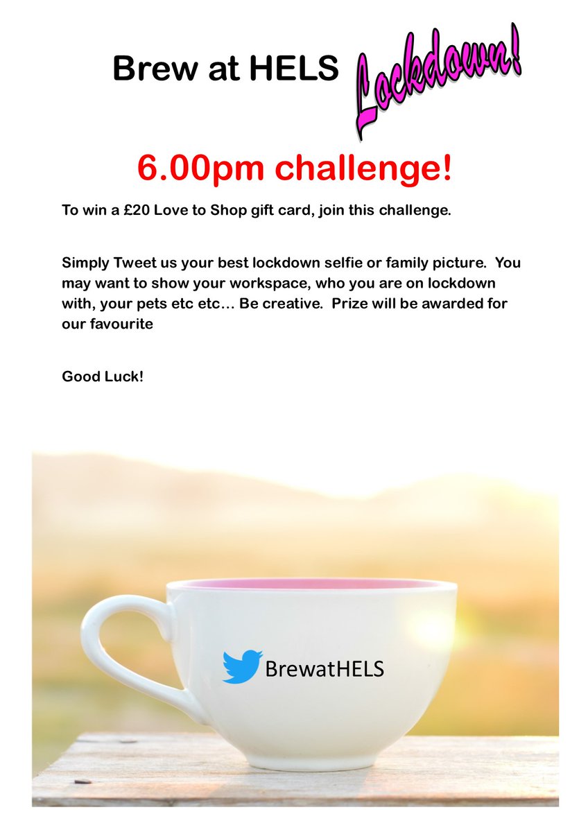 Brew at HELS tweet media