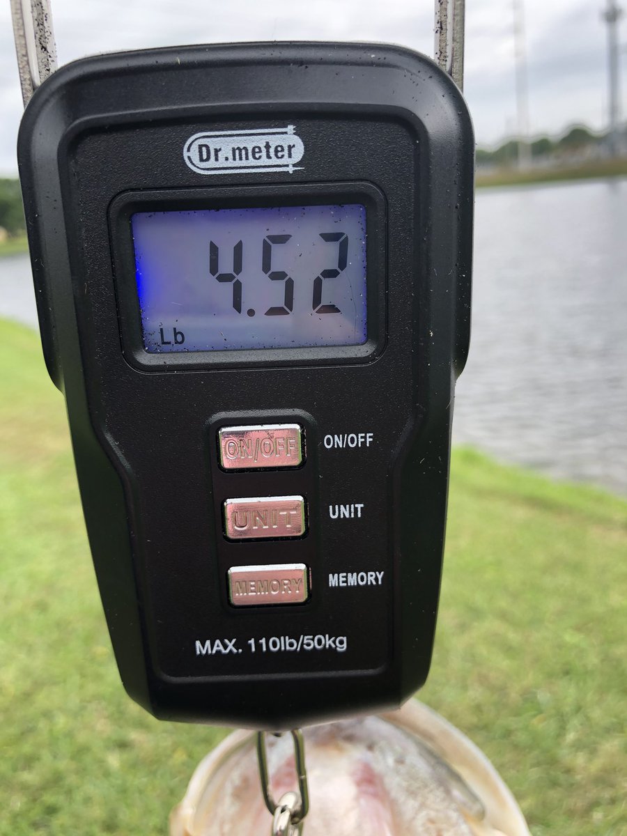 9PMRoutine1's tweet photo. Wet a line before work this
morning 🎣 This camera angle makes me look chunky 😆 Have to tag @TrooperBob_SC since I’m wearing his t-shirt #SocialFishstancing #Pig https://t.co/IIP66p9cKA