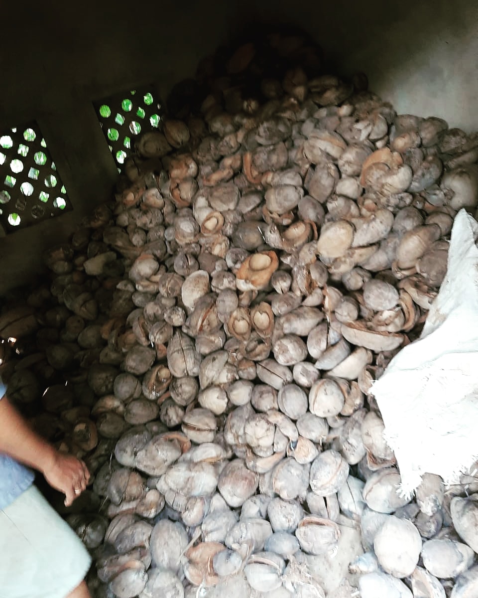 greencomrades's tweet photo. #Coconutbuttons are Natural & straight from Mother #Earth.Buttons are the most important accessories for any #garment. Live on @Greenwaveses : #Coconut #buttons-made from coconut shell
#accessory #handmade #handcrafted #coconutbutton #Ecofashion #sustainability #CircularEconomy https://t.co/BG5TPCgrtn