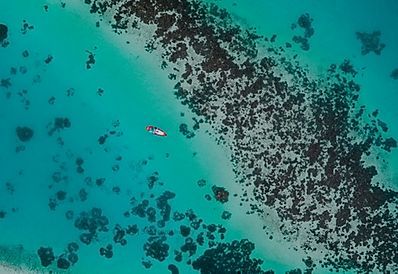 smtcenter's tweet image. Expedition: Great Barrier Reef is freely available online - it is in developmental but, it is a fun STEM resource for those at home and wish to remotely explore another part of the world  buff.ly/2xCsUBa  #stem #ncstem #stemresource