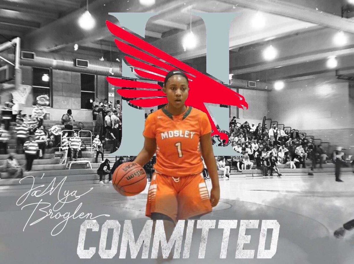 Next Chapter📚🏀