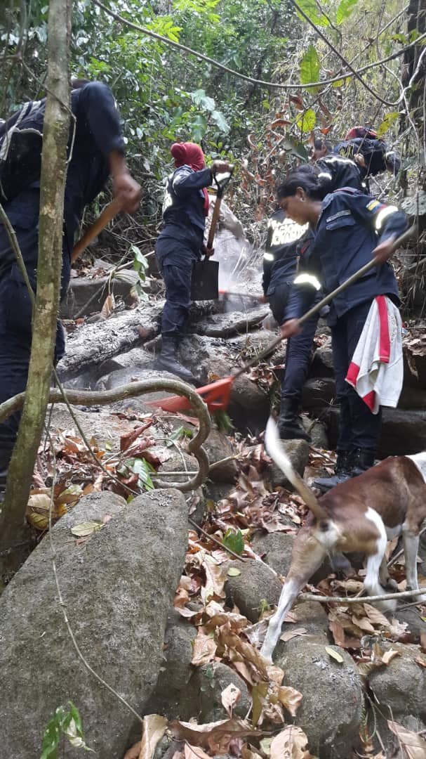 Bomberosforest6's tweet photo. @JULIOLEONYARA Bomberos forestales inparques cuerpo de guardaparques GNB comunidad quibayo ,asociaciones espiritistas unidos en el combate del incendio en el cerro marialionza https://t.co/XYl9IsgdB8