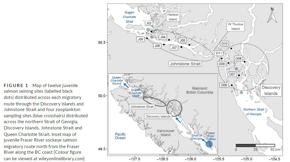 Low stomach fullness in juvenile #sockeye #salmon migrating through Johnstone Strait suggests poor foraging opportunities in tidally mixed waters 

Important foraging hotspots were found at the interface of mixed and stratified waters 

doi.org/10.1111/fog.12…