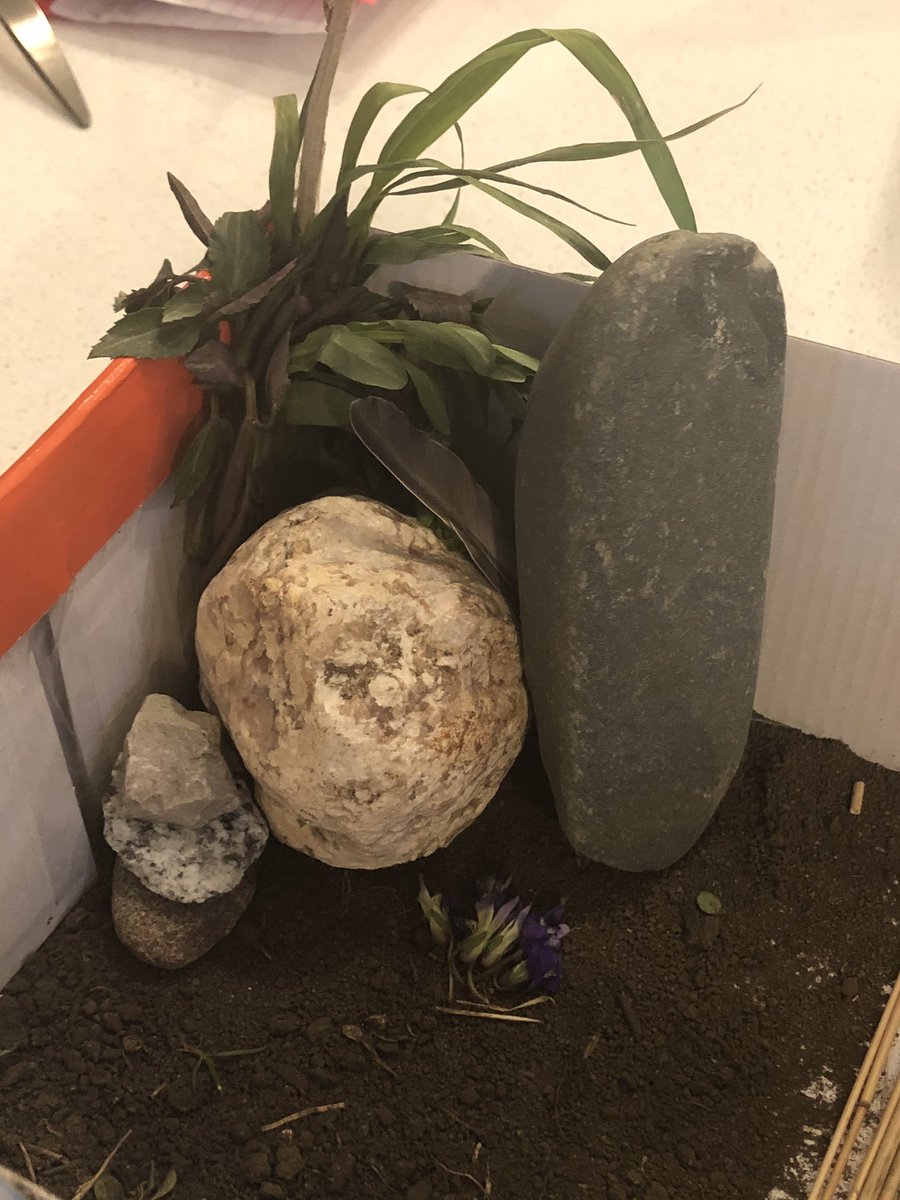 RochelleBiegger's tweet photo. Lillian’s art project this week is titled, “A Tropical Island.” I’d shelter in place there! @NorthRidgeArt @NorthRidge_Elem #dcgart #dcgexcellence https://t.co/YqDaFDrOVB