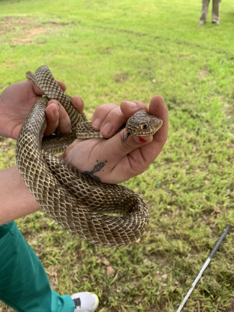 fallonbarnes04's tweet photo. Just did my first solo relocation. Pretty pumped. #motherofscales https://t.co/a8VtXXSa3r