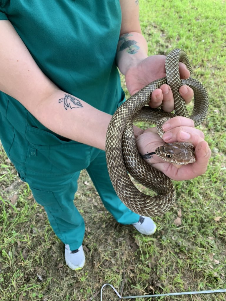 fallonbarnes04's tweet photo. Just did my first solo relocation. Pretty pumped. #motherofscales https://t.co/a8VtXXSa3r