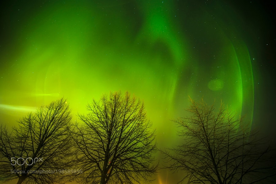 B_Ubiquitous's tweet photo. We Don’t Sleep Tonight by Mila Mai https://t.co/Wsu32rRACK