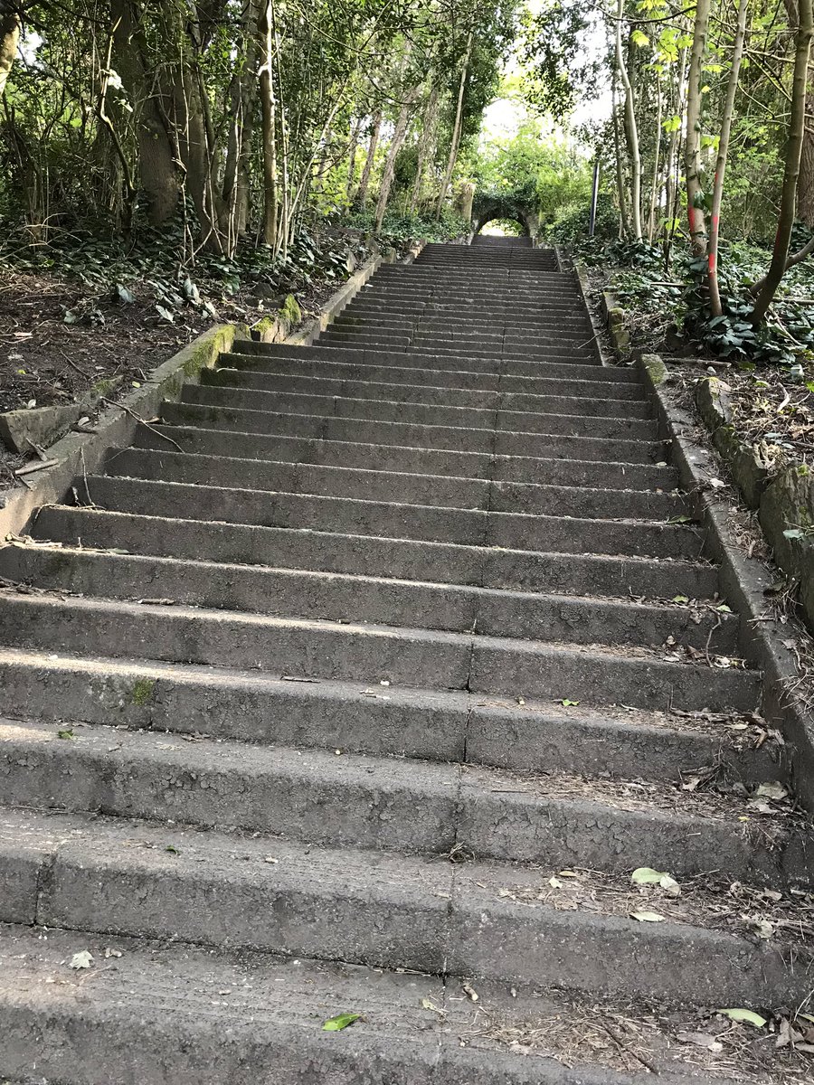 SJPweb's tweet image. Had the #Armley killer steps to myself for a bit this evening 🦵🏻🦵🏻
