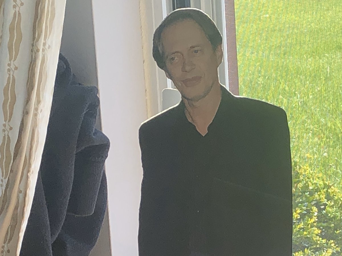268. If you’re wondering about the identity of the person in that small cardboard standee, it’s Steve Buscemi. Nancy is a huge fan. She also has a blanket, a pillow, a coloring book and a bunch of other Buscemi-themed merch.