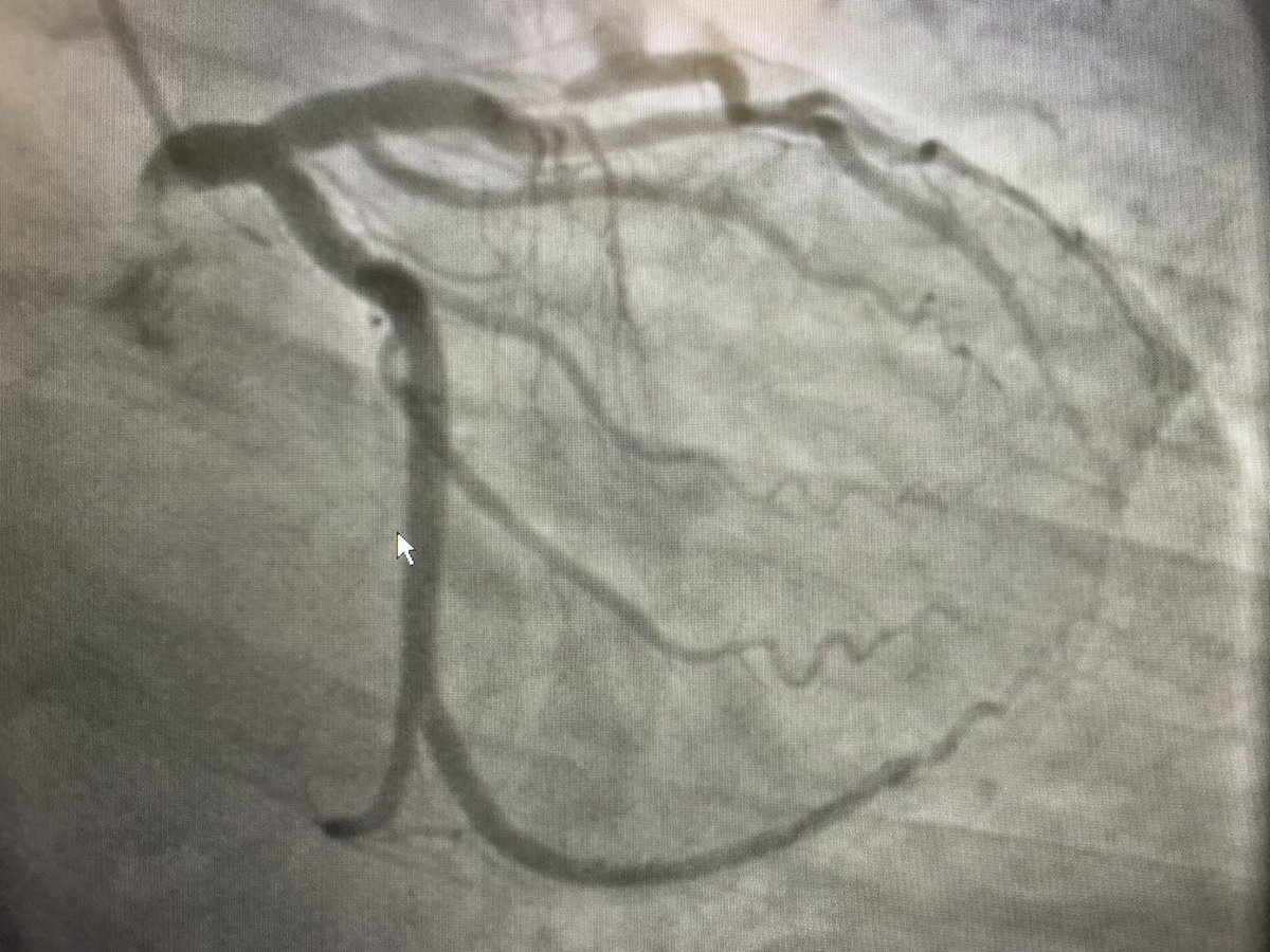 Abdallah Bitar MD PhD tweet media