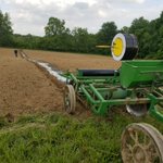 Photo by Chesterhill Produce Auction (@FreshLocalCPA)