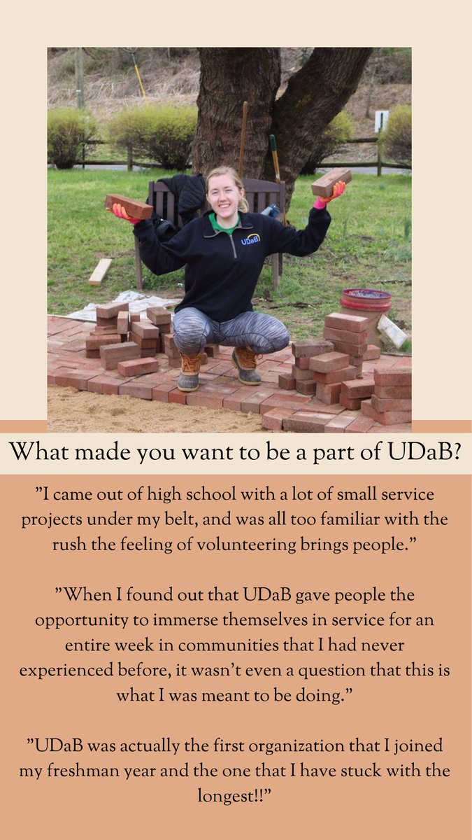 UDaB tweet media